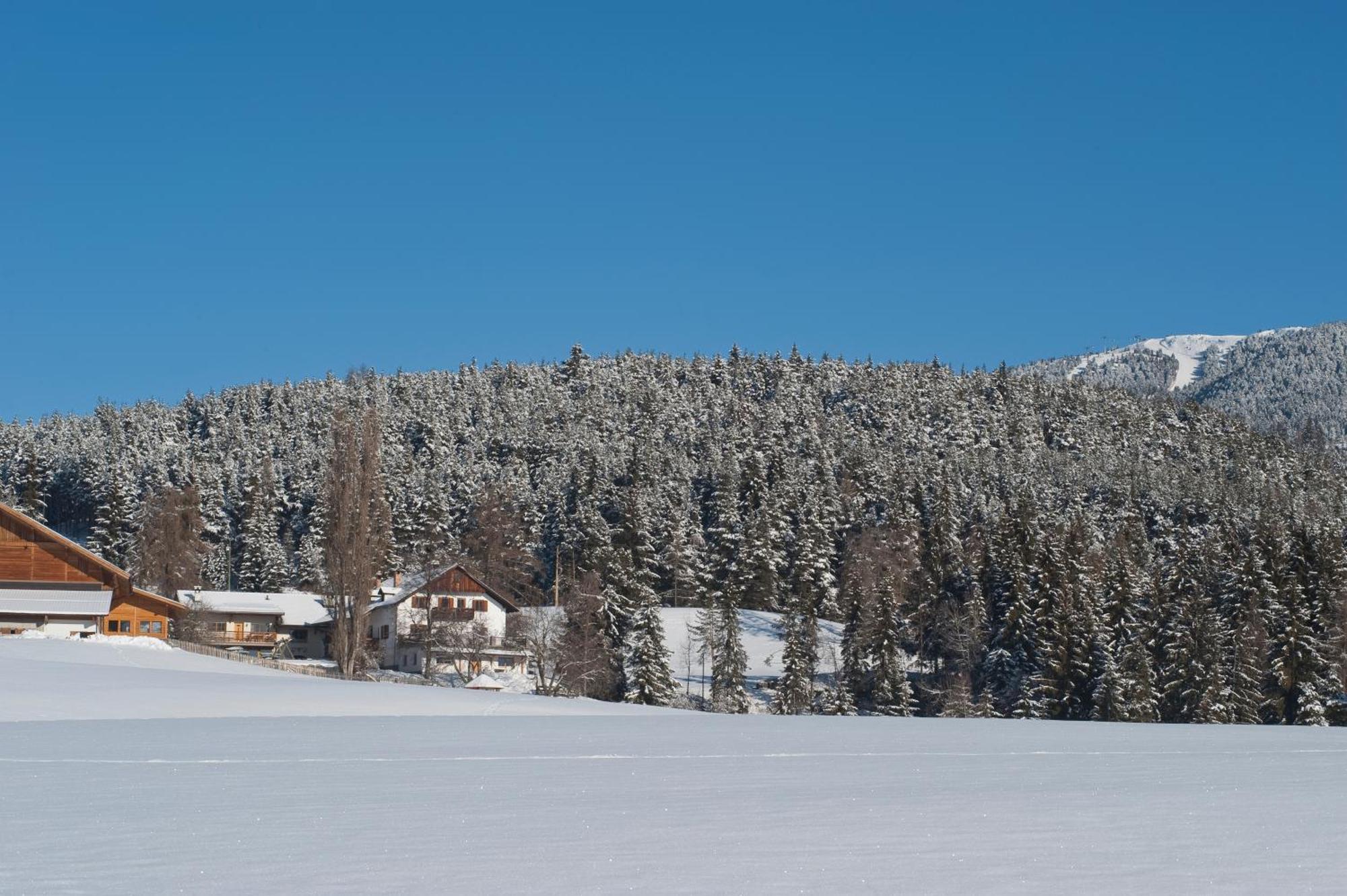 Unterpfaffstall-Hof Collalbo Exterior foto